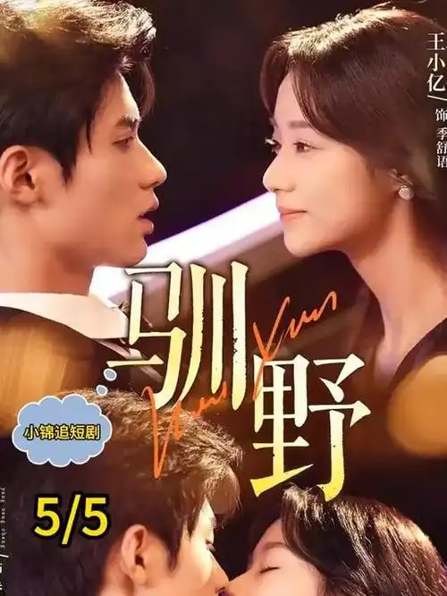 山河故人录 古装电视剧全集免费观看